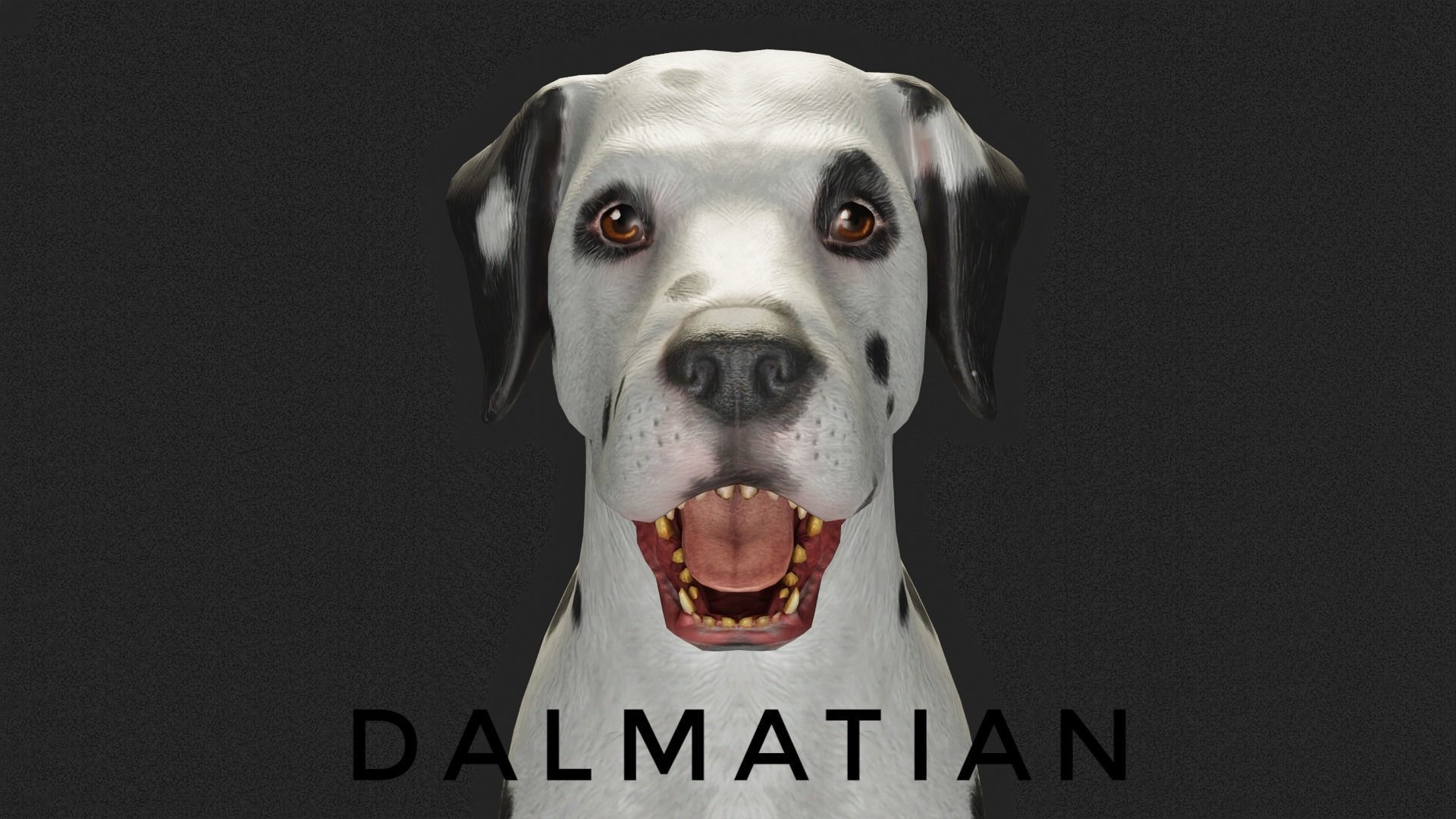 DOG  - DALMATAIN  Low-poly 3D model_14