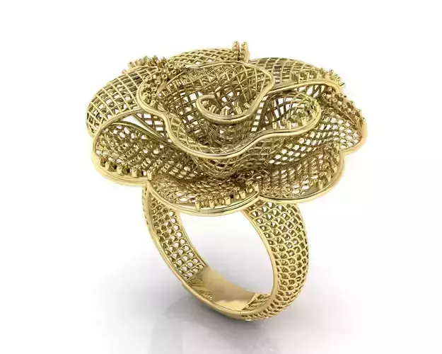 Jaali Net women Ring