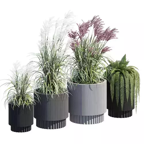 Fluted four planters with grasses and ferns