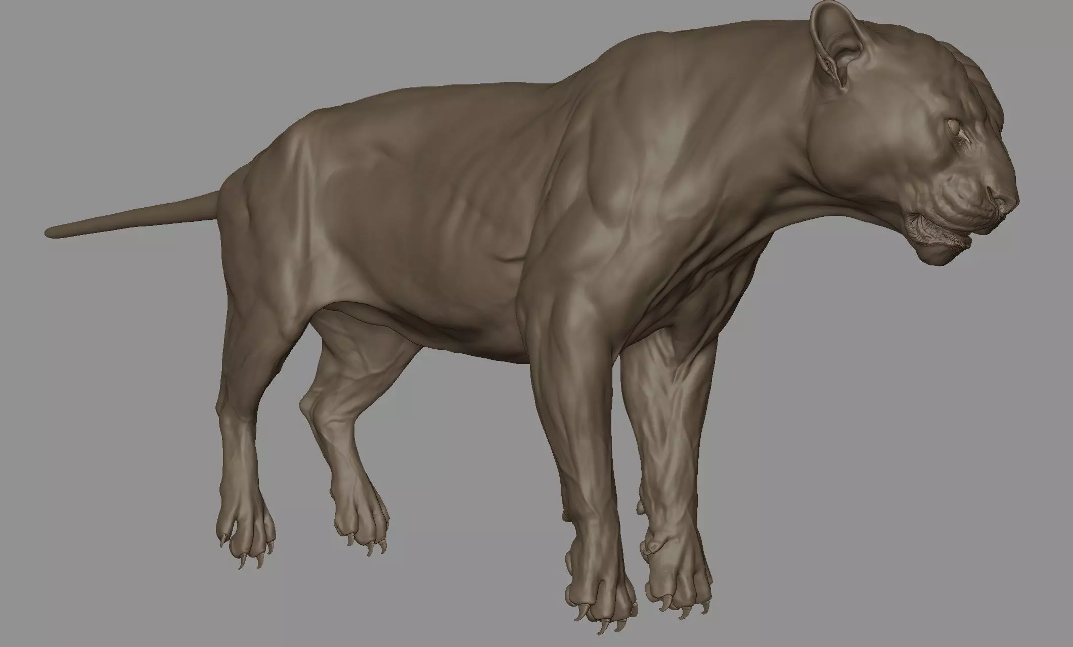 Tiger  VFX Cinematic quality 3D model 3D model_0