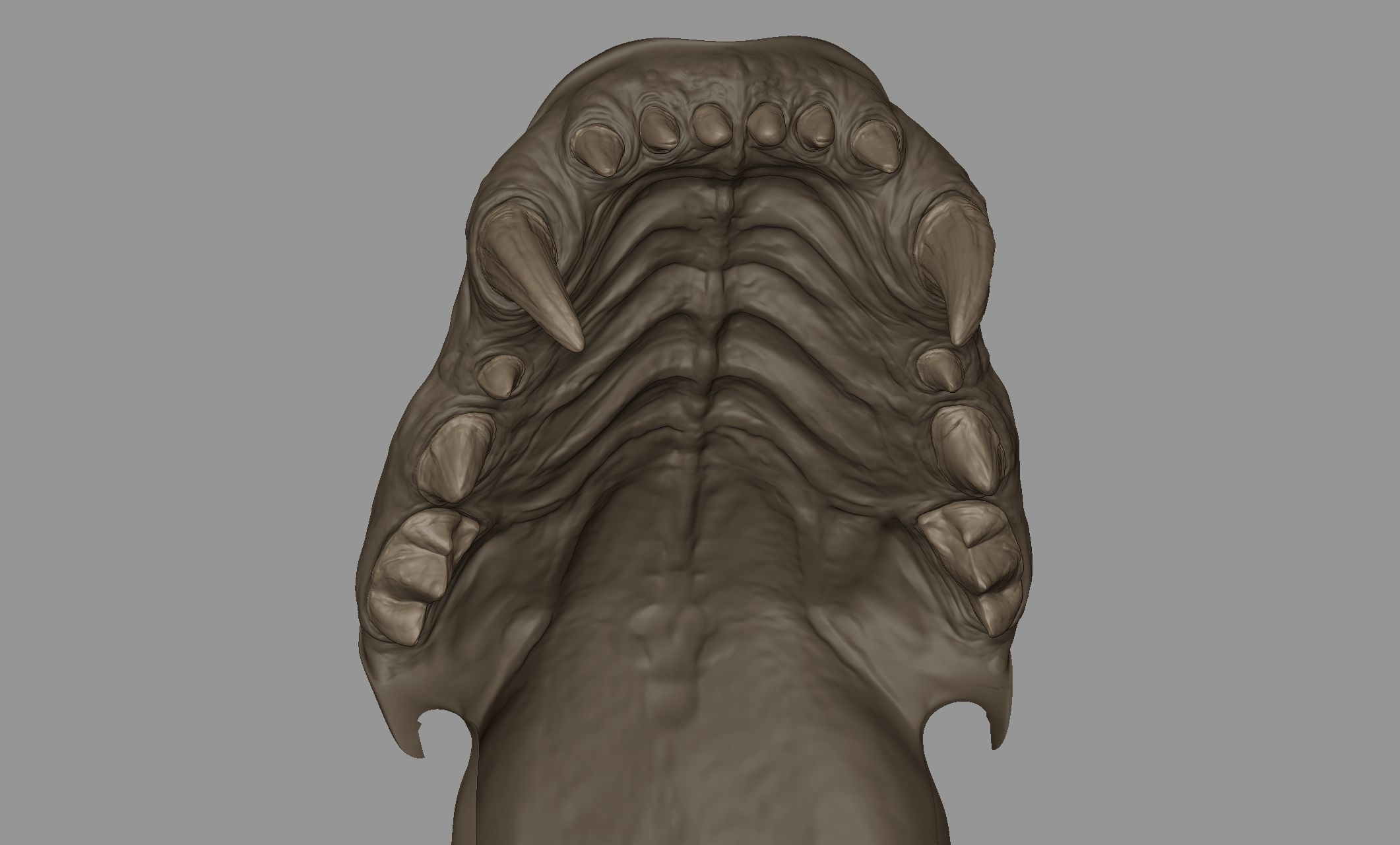 Tiger  VFX Cinematic quality 3D model 3D model_13