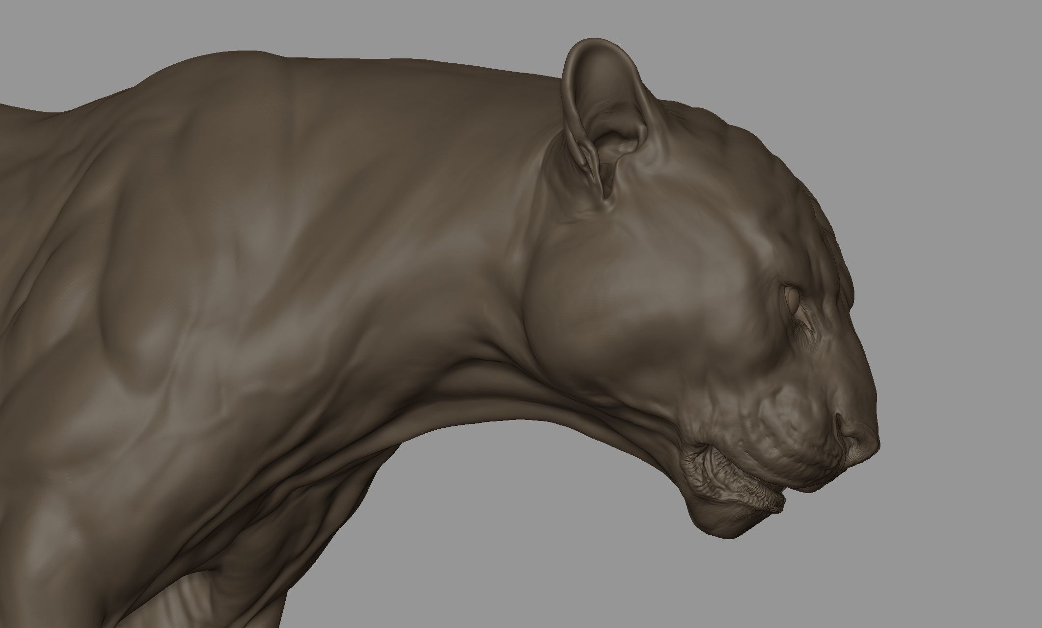 Tiger  VFX Cinematic quality 3D model 3D model_6