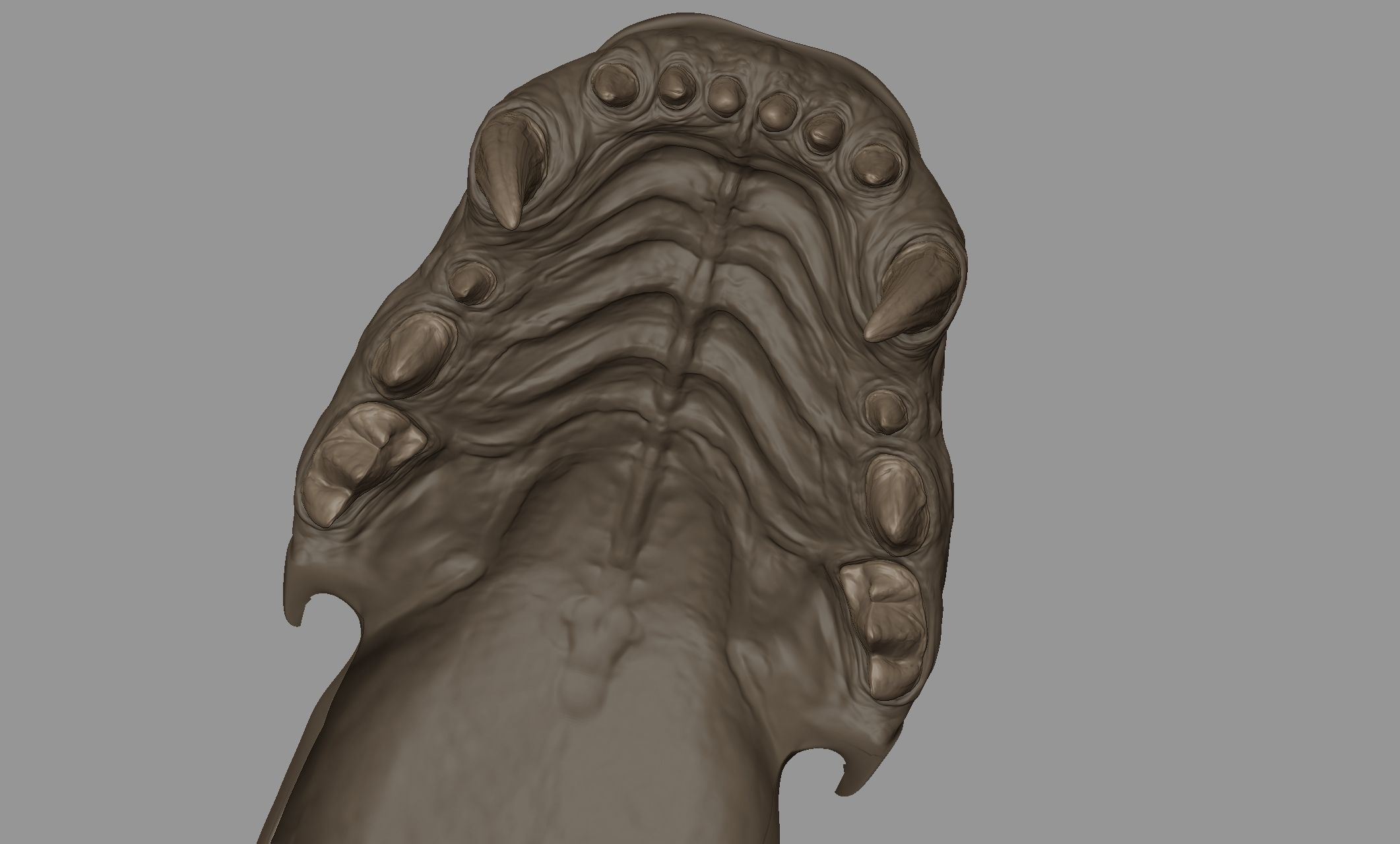 Tiger  VFX Cinematic quality 3D model 3D model_12