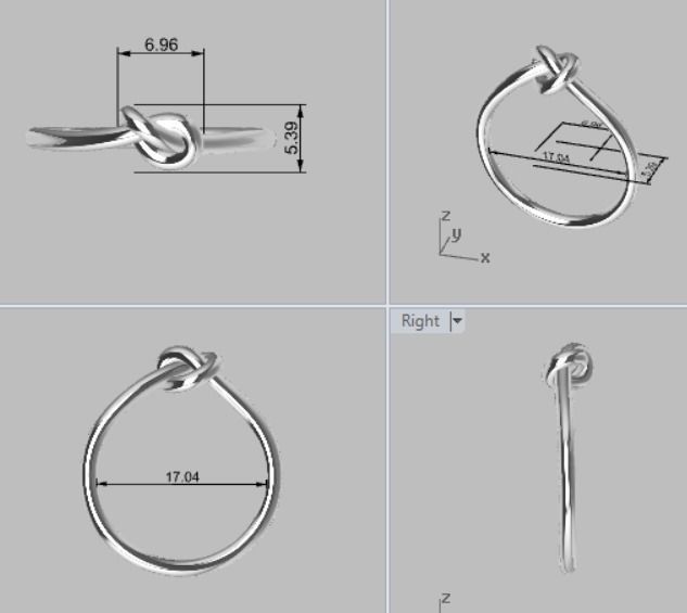 RING TIE  3D print model_1