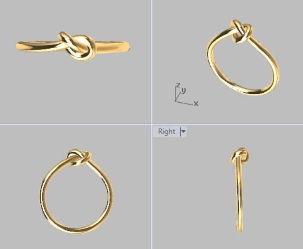 RING TIE  3D print model_3