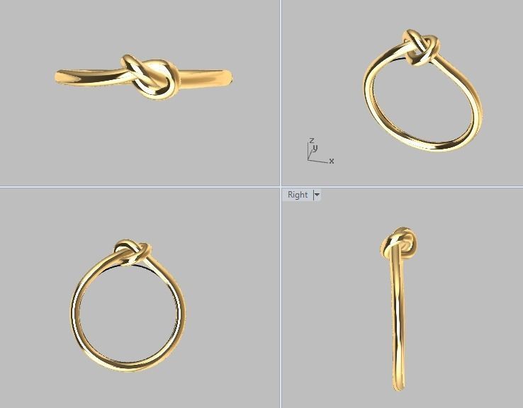RING TIE  3D print model_2