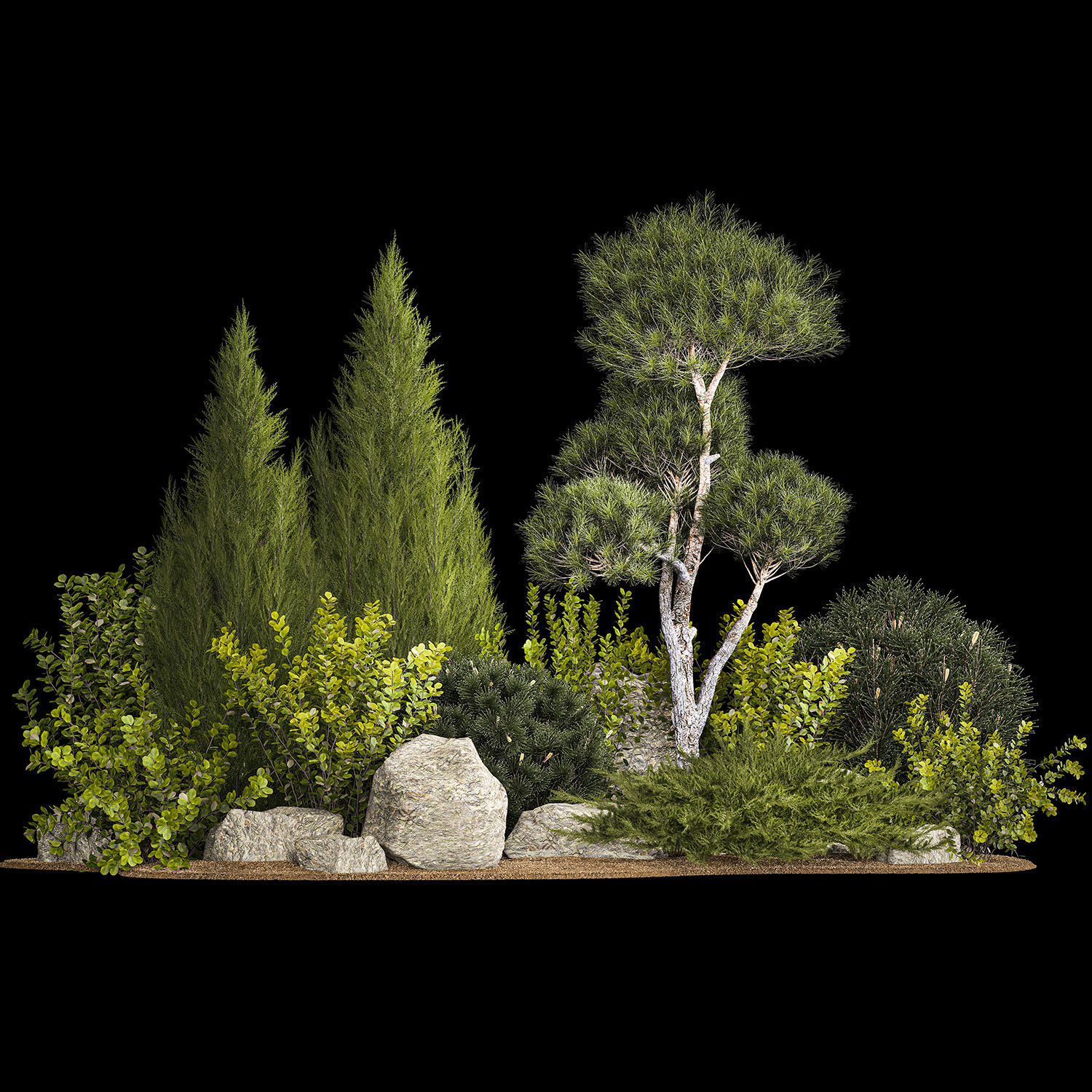 Alpine Hill With Thuja Pine Juniper And Bushes 1208 3D model_1