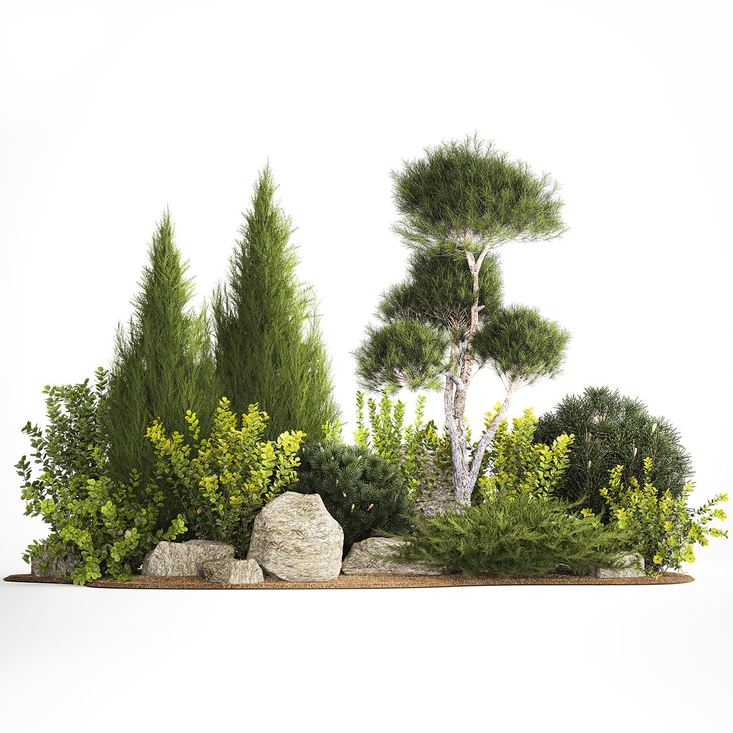 Alpine Hill With Thuja Pine Juniper And Bushes 1208 3D model_7
