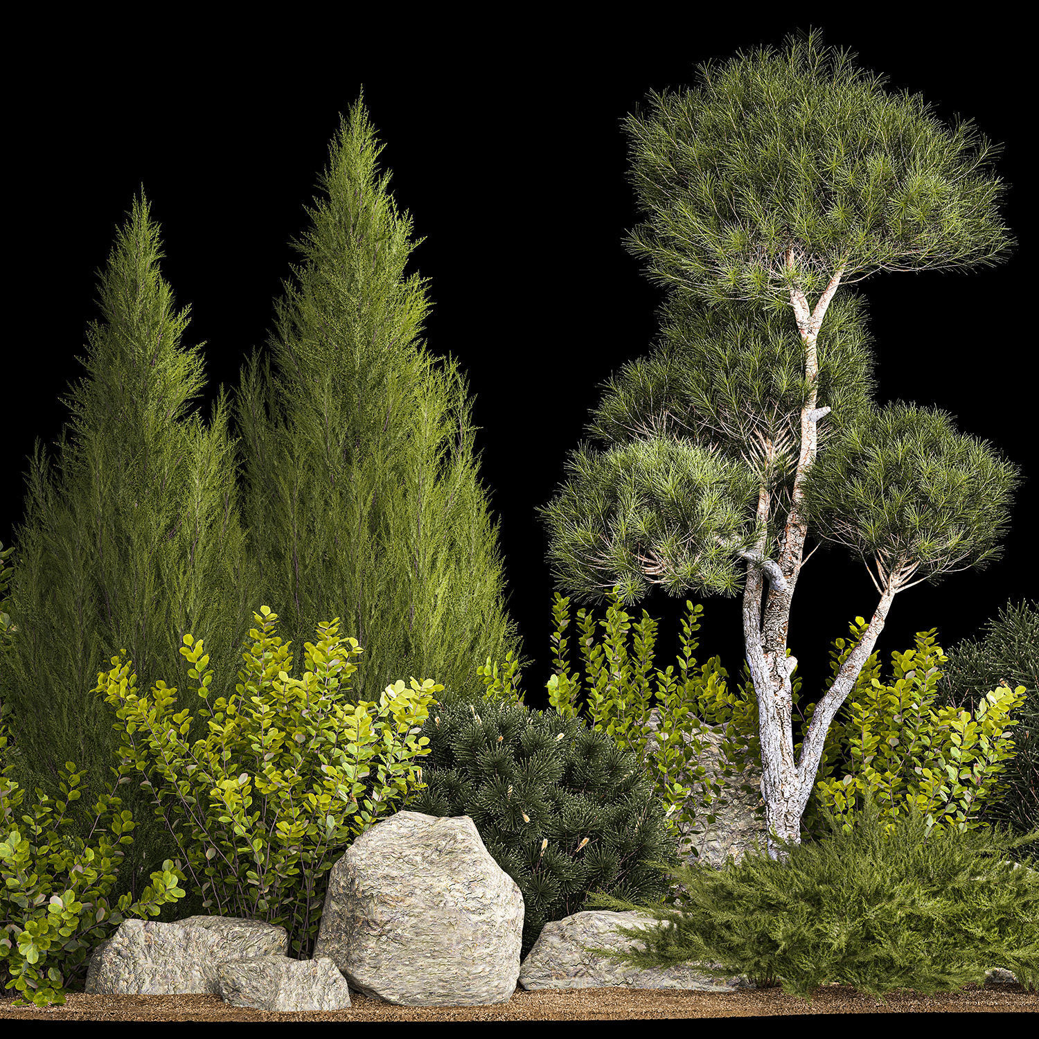 Alpine Hill With Thuja Pine Juniper And Bushes 1208 3D model_2