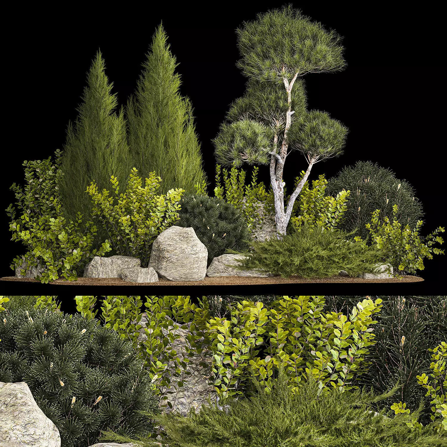 Alpine Hill With Thuja Pine Juniper And Bushes 1208 3D model_0