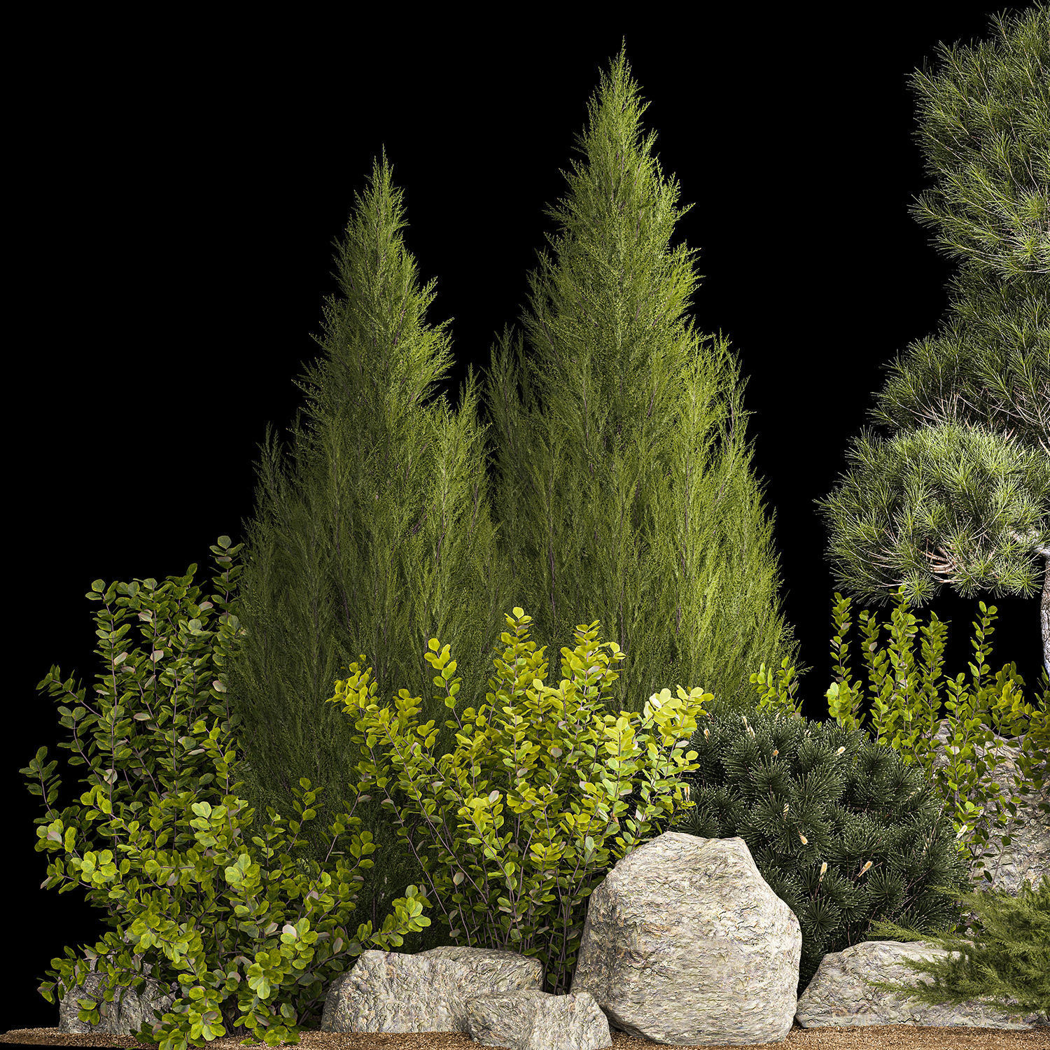 Alpine Hill With Thuja Pine Juniper And Bushes 1208 3D model_3