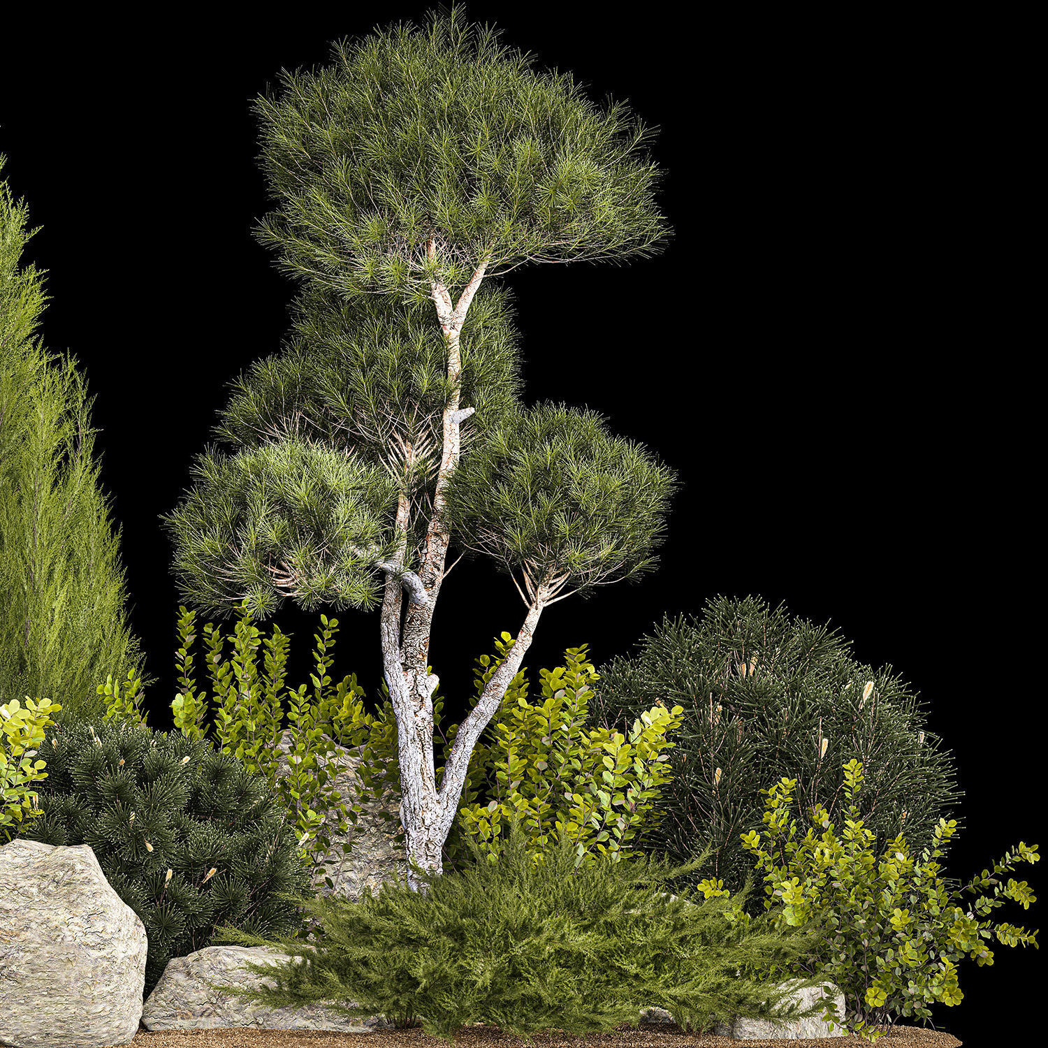 Alpine Hill With Thuja Pine Juniper And Bushes 1208 3D model_4