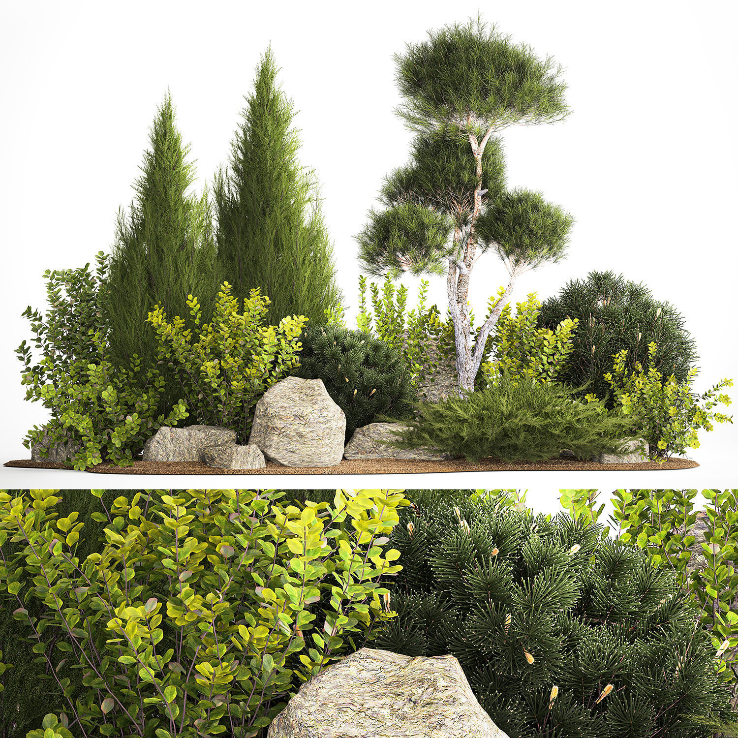 Alpine Hill With Thuja Pine Juniper And Bushes 1208 3D model_6
