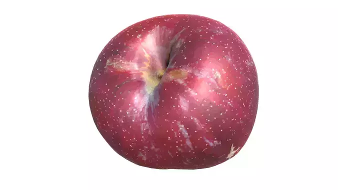 Plum photogrammetry scan