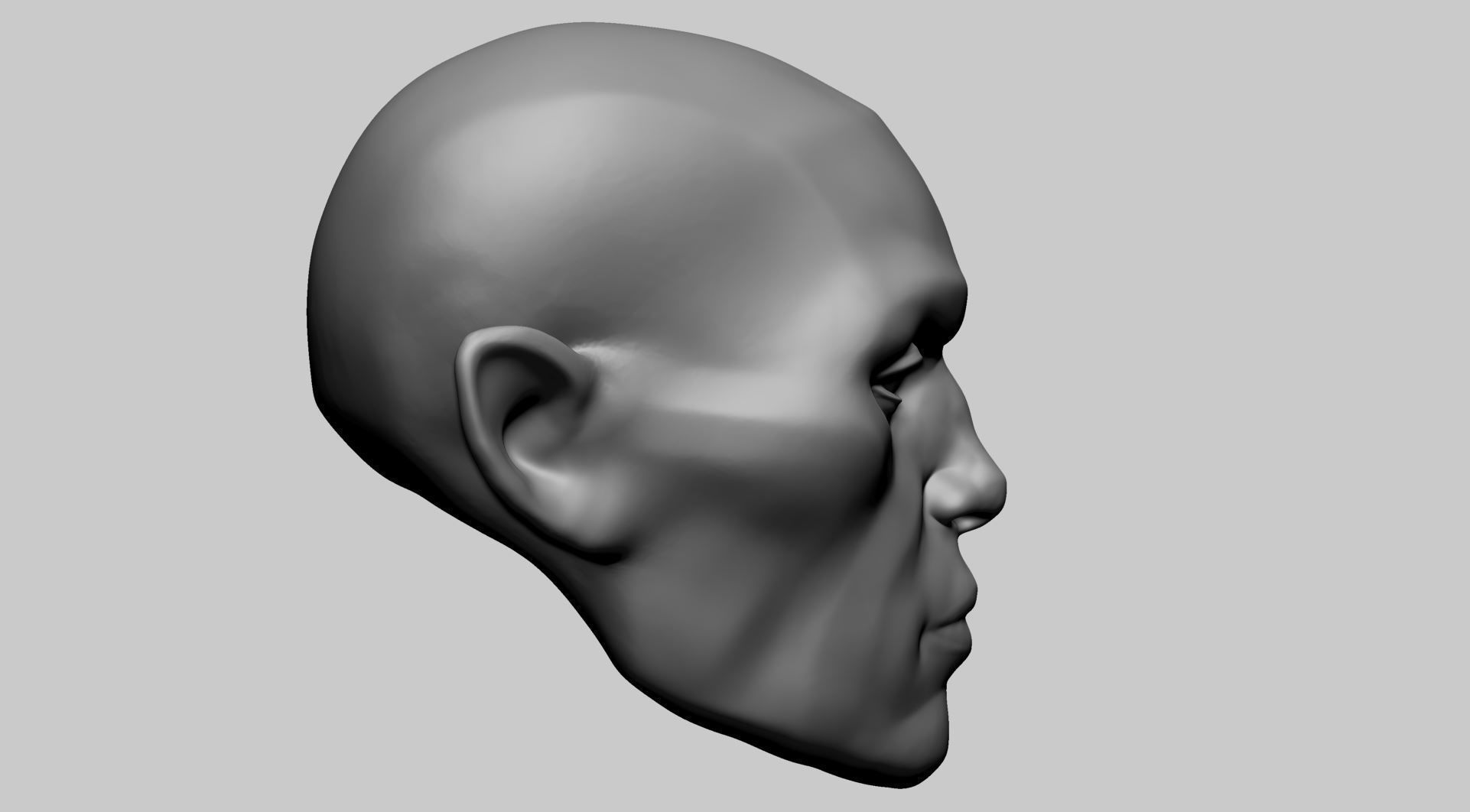 Base Head Anatomy 3D print model_2