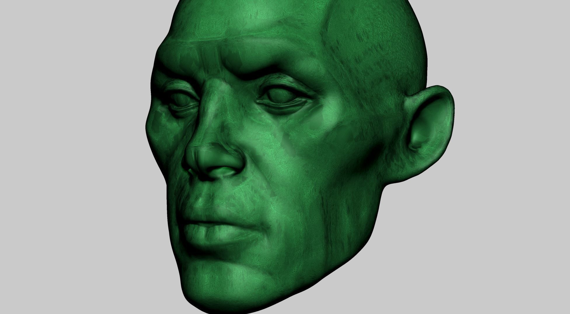 Base Head Anatomy 3D print model_9