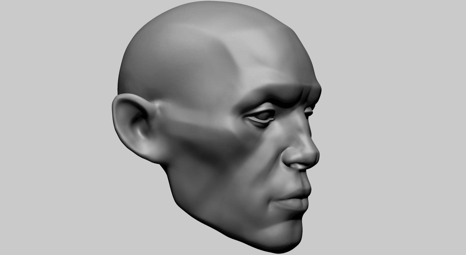 Base Head Anatomy 3D print model_1