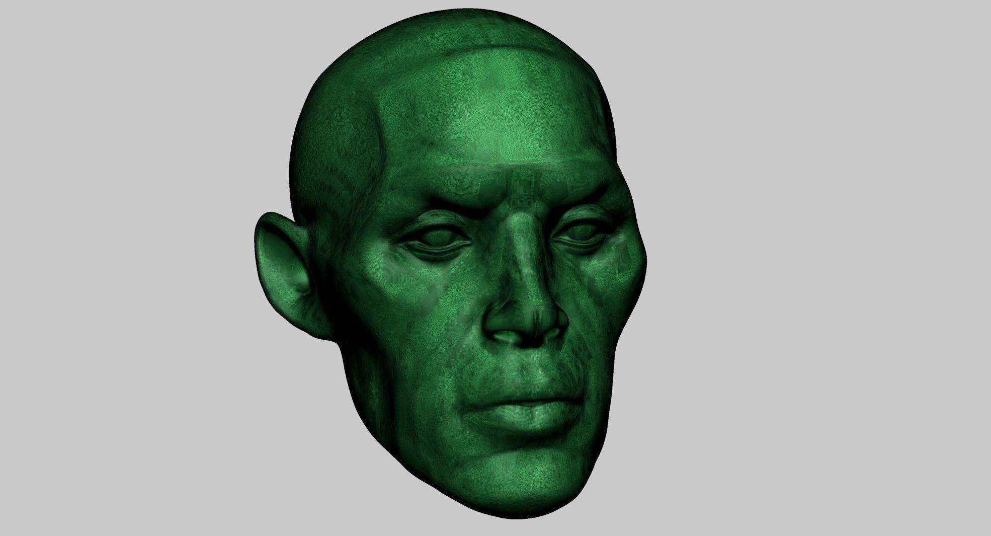 Base Head Anatomy 3D print model_10