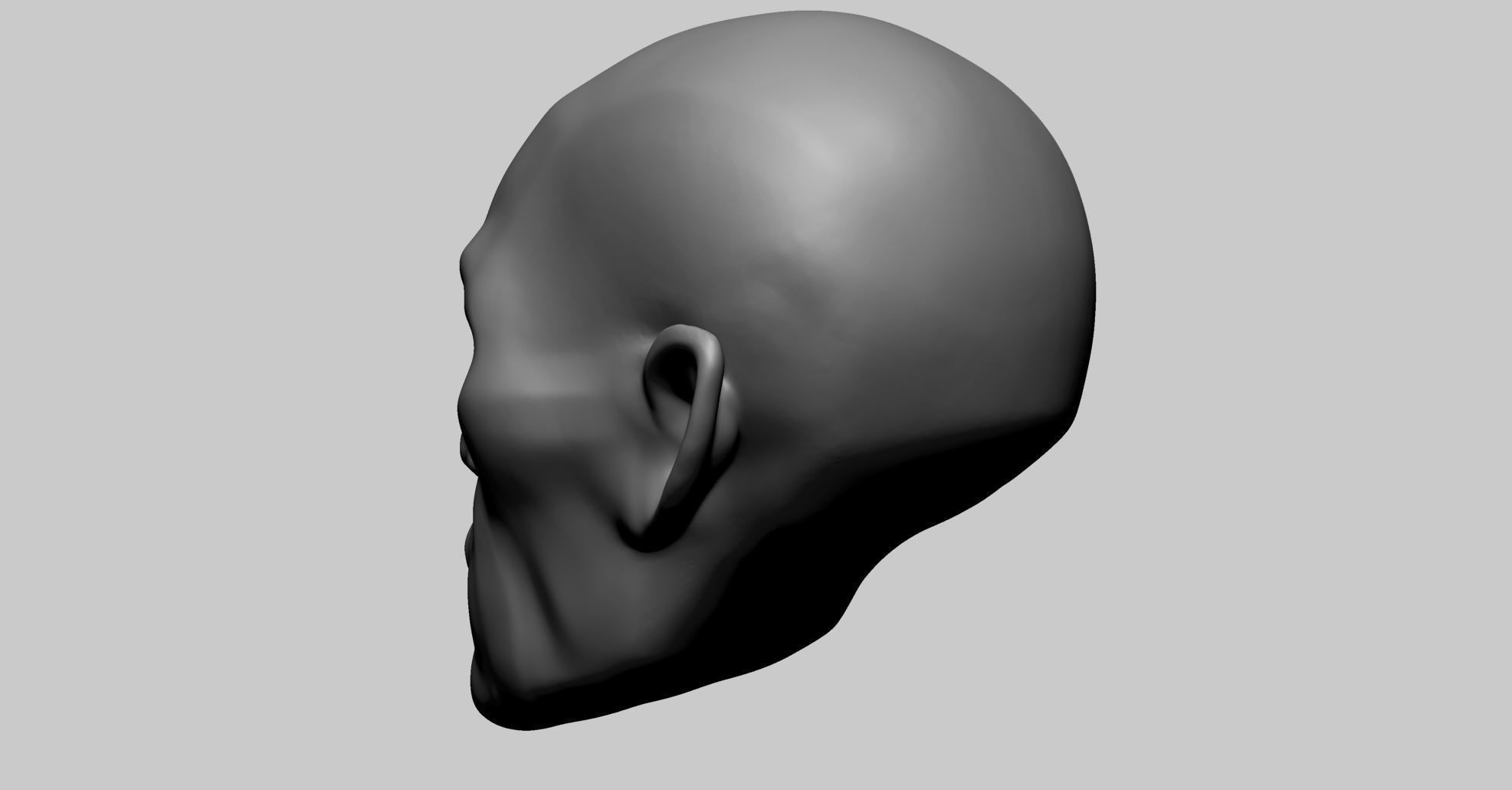 Base Head Anatomy 3D print model_5