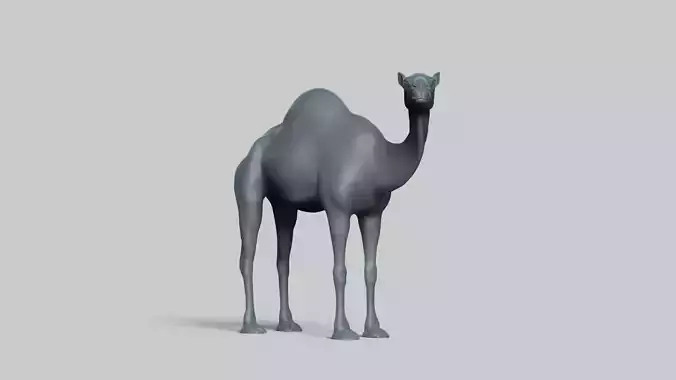 Camel Pose 02 3D print model