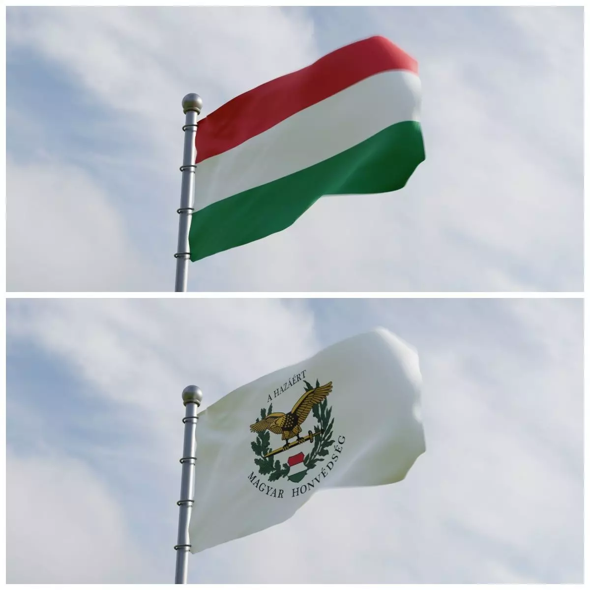 Animated Hungary Flags 3D model