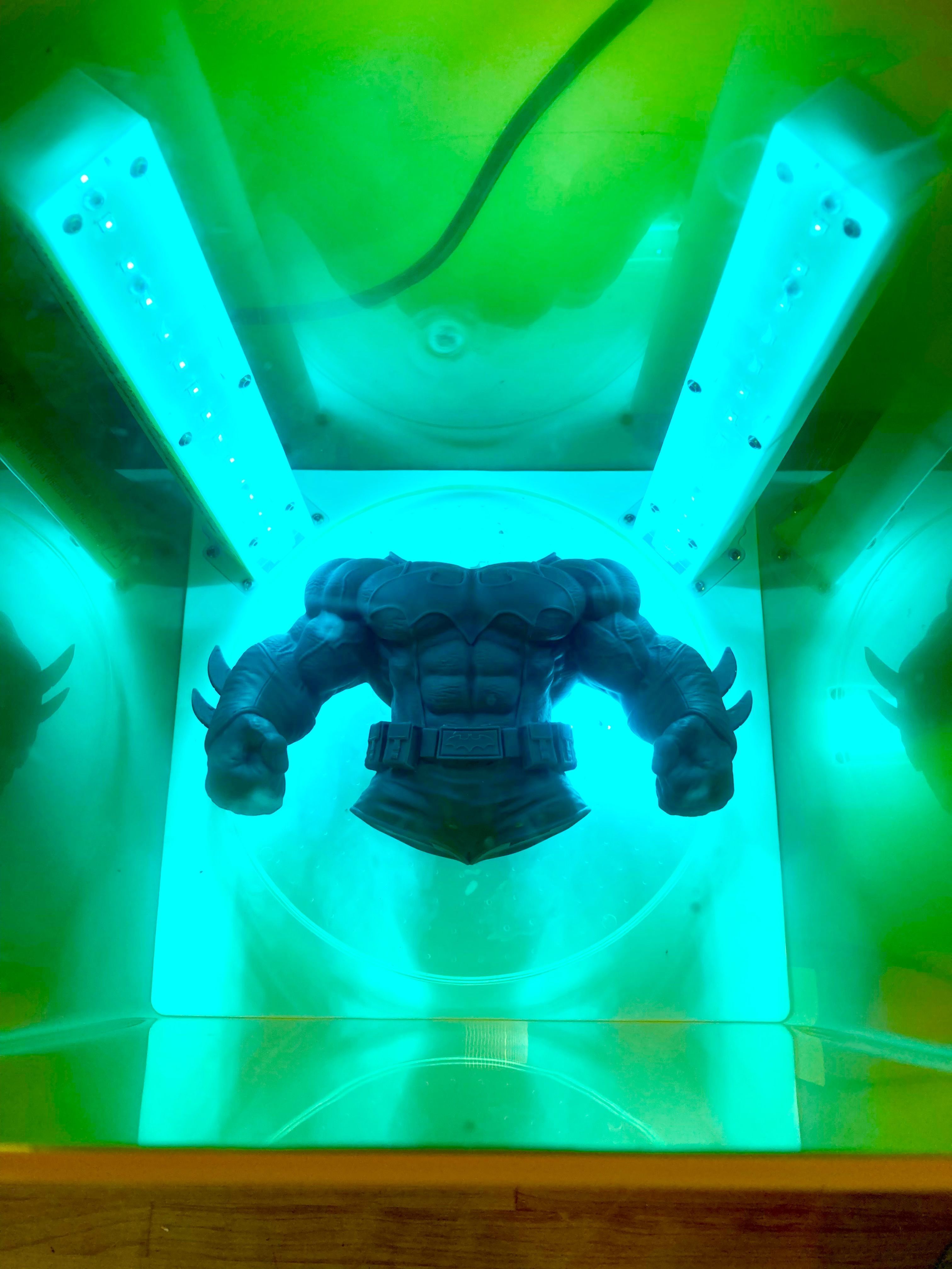 Bat-Hulk 3D print model_6