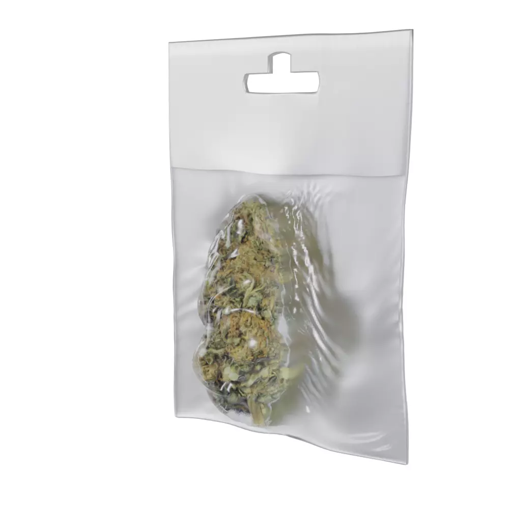Vacuum-Packed Cannabis Weed Bag 3D model_0