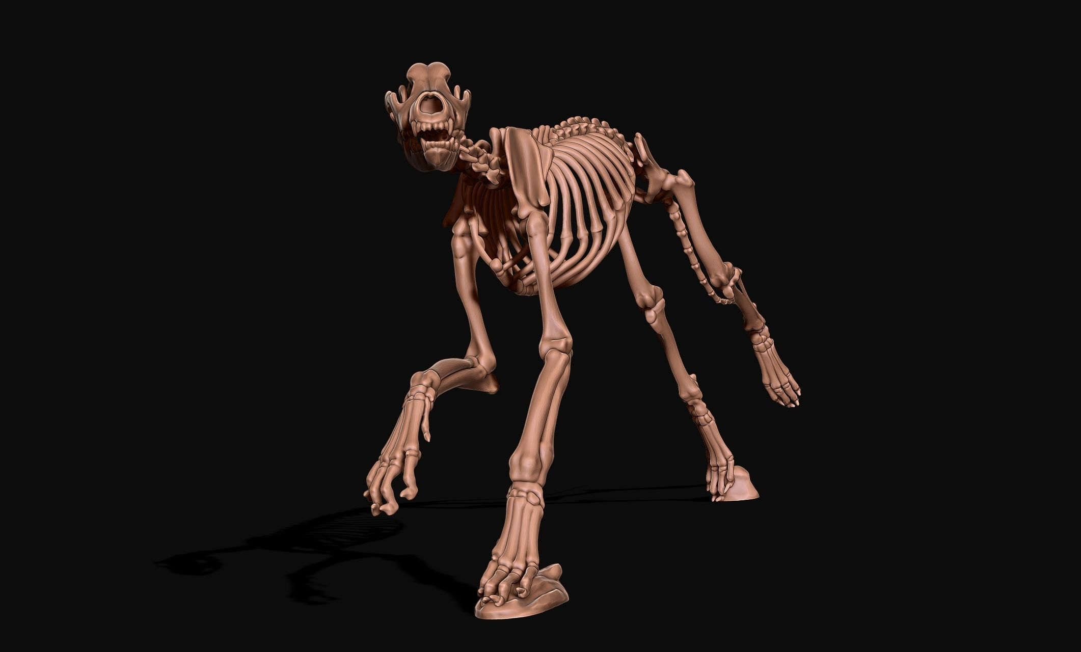 Great Dane Skelleton DYS KIT  3D print model_3