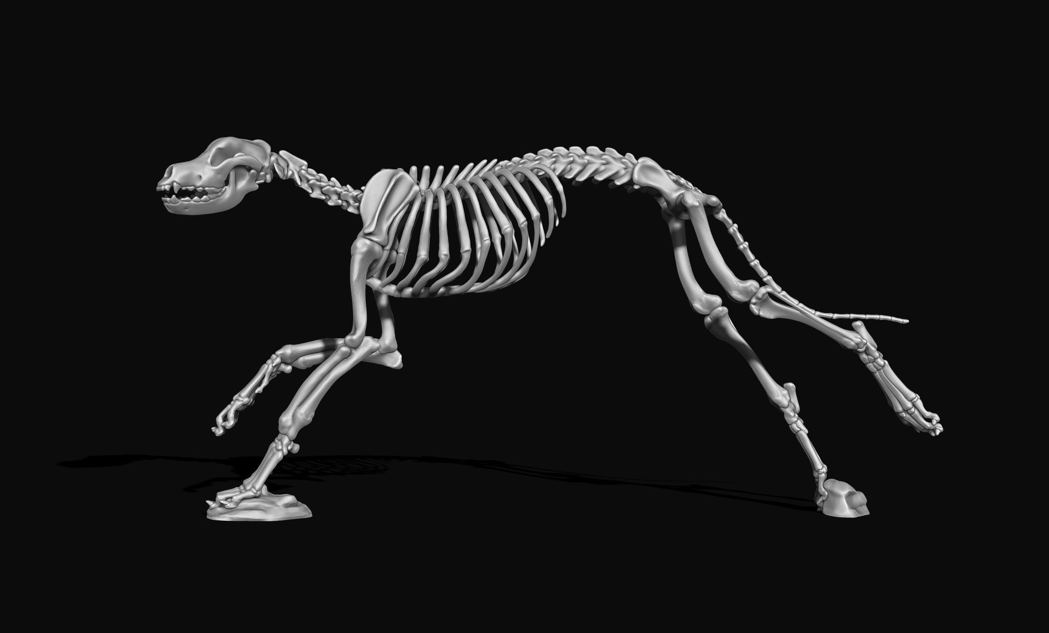 Great Dane Skelleton DYS KIT  3D print model_16
