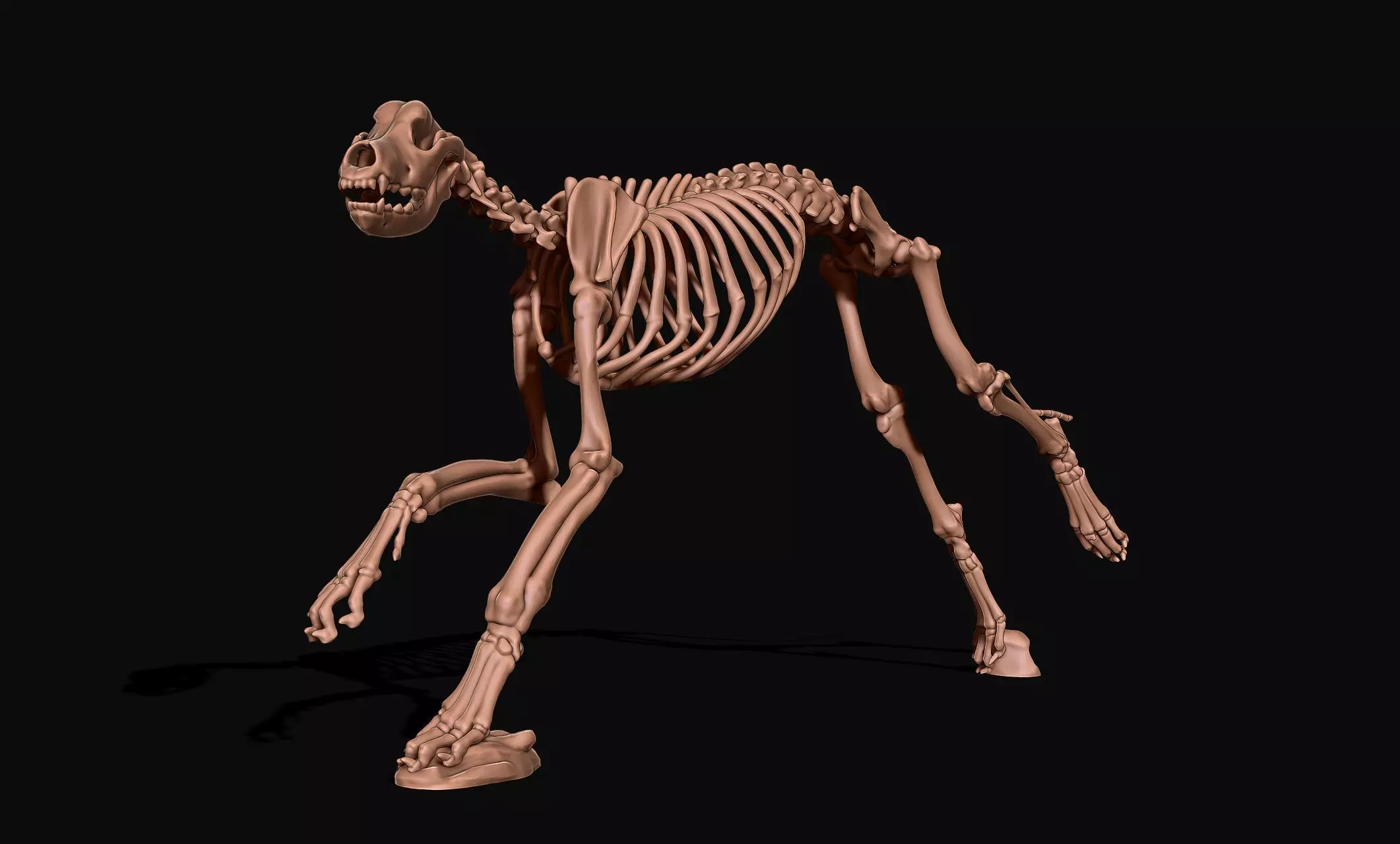 Great Dane Skelleton DYS KIT  3D print model_0