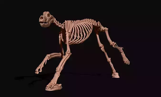 Great Dane Skelleton DYS KIT  3D print model