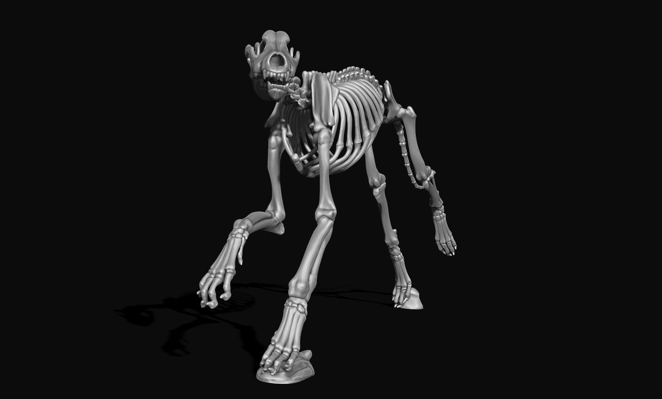 Great Dane Skelleton DYS KIT  3D print model_17