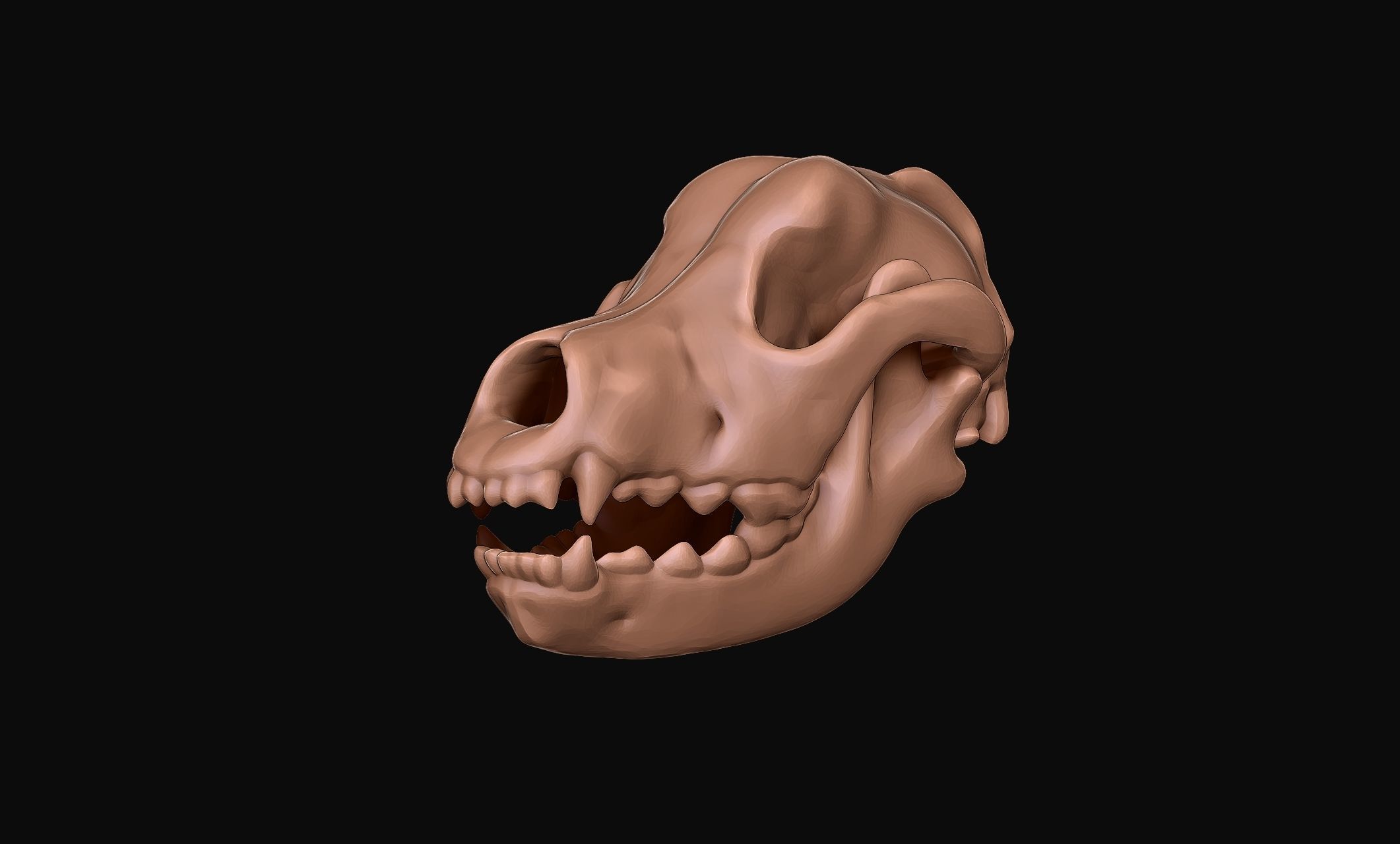 Great Dane Skelleton DYS KIT  3D print model_6