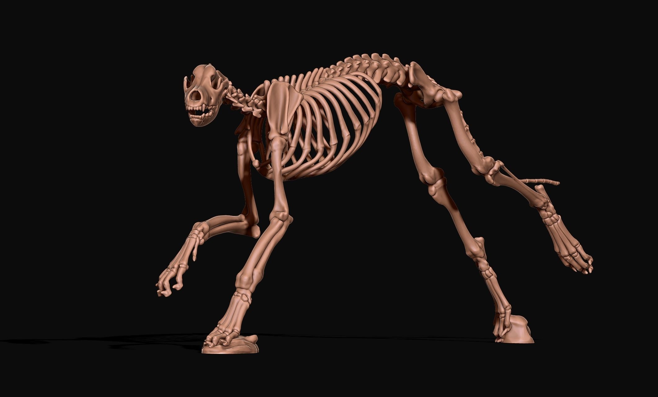 Great Dane Skelleton DYS KIT  3D print model_1