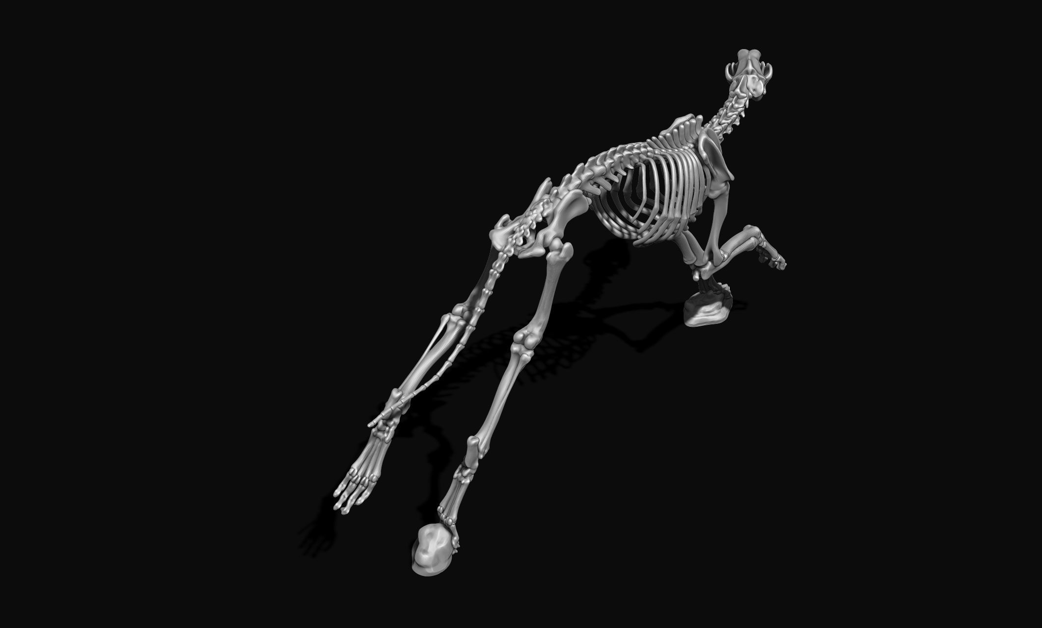 Great Dane Skelleton DYS KIT  3D print model_18