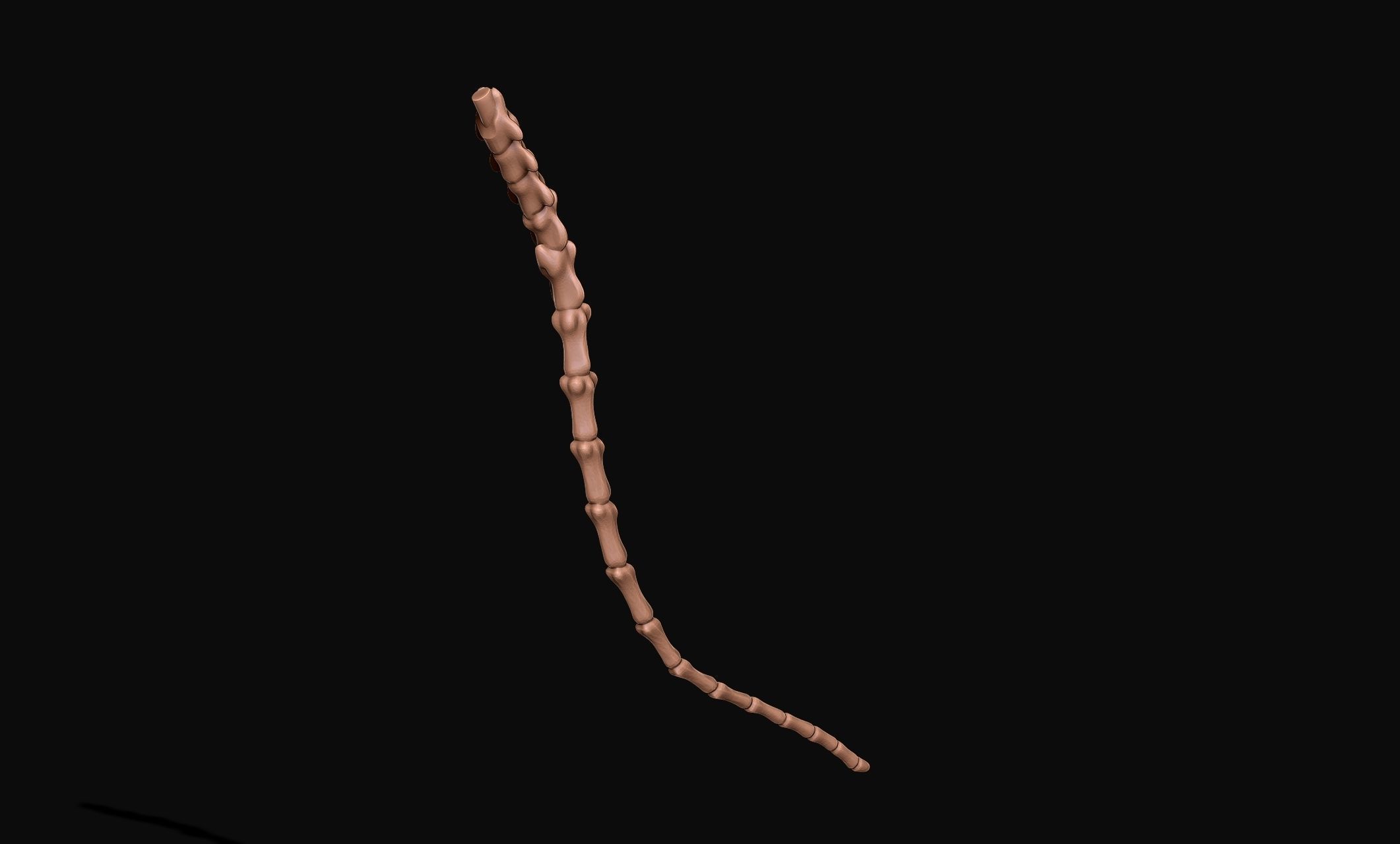 Great Dane Skelleton DYS KIT  3D print model_13