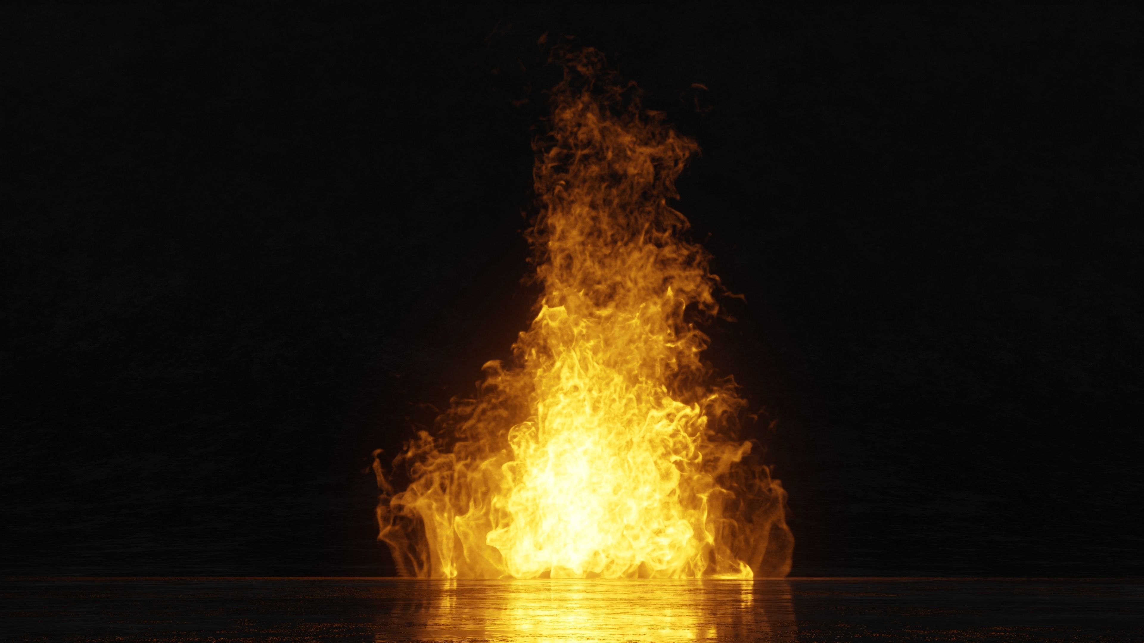 3D Bonefire fire 3D model_3