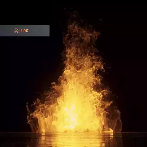 3D Bonefire fire 3D model