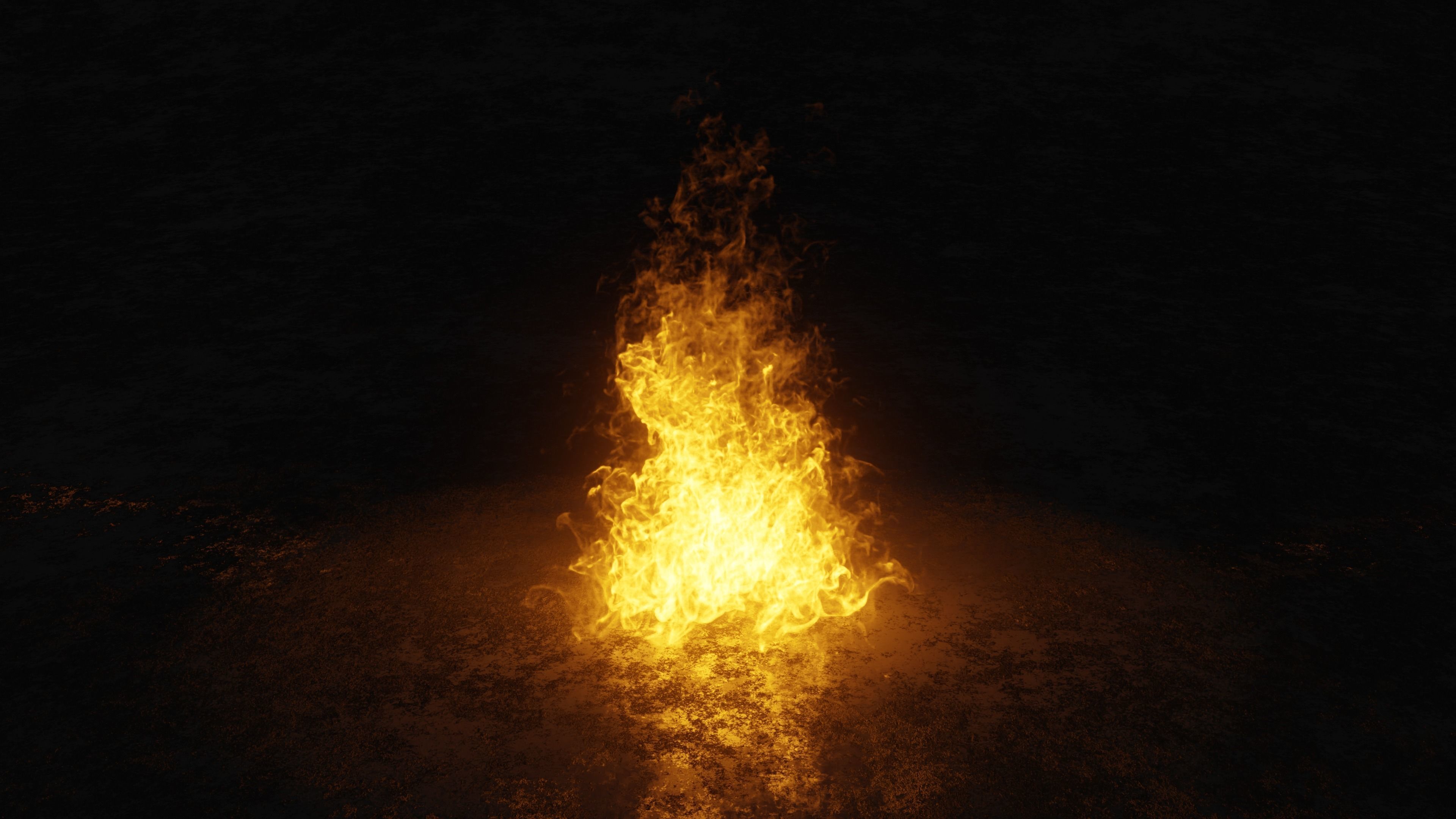 3D Bonefire fire 3D model_4