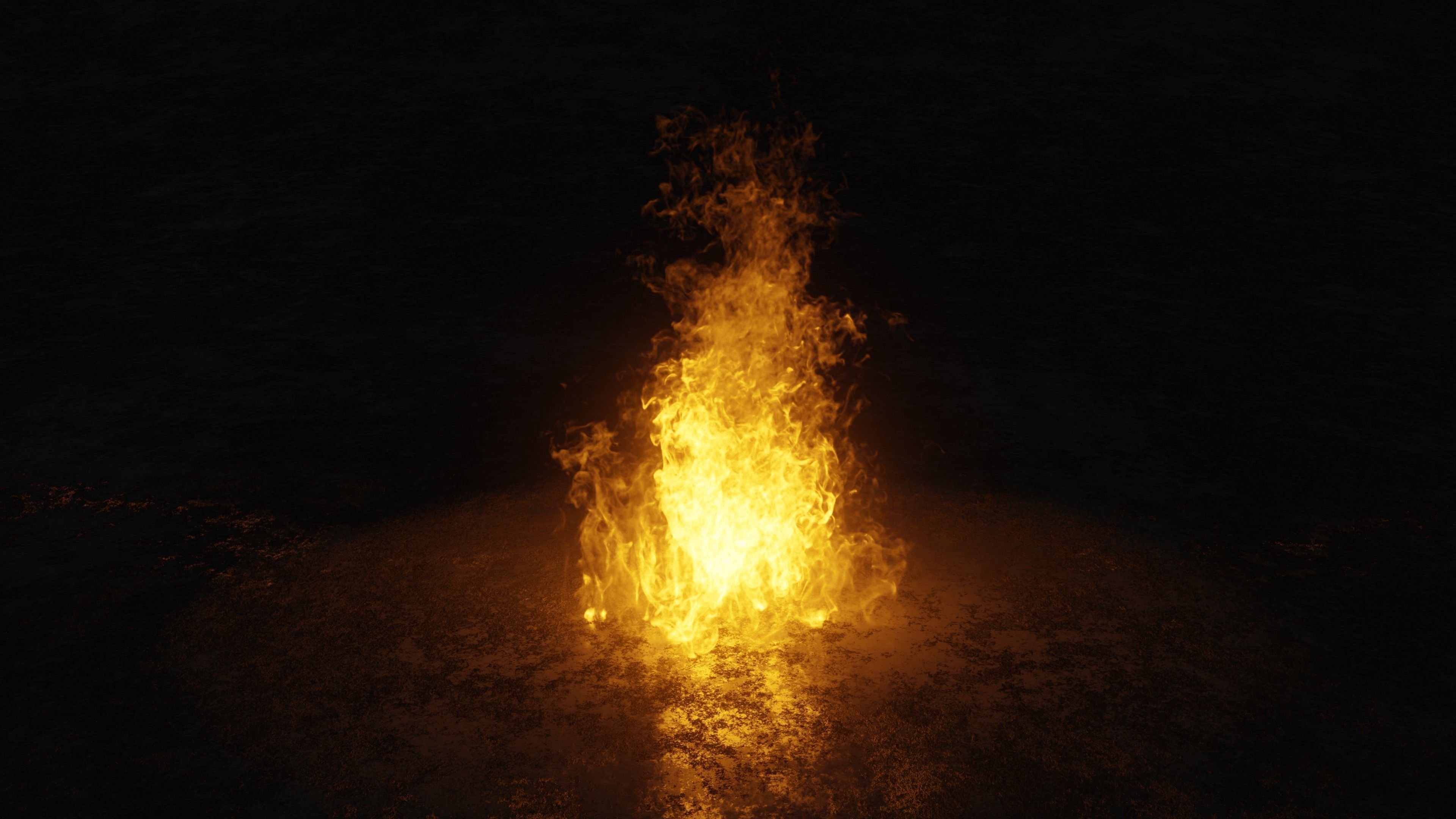 3D Bonefire fire 3D model_2