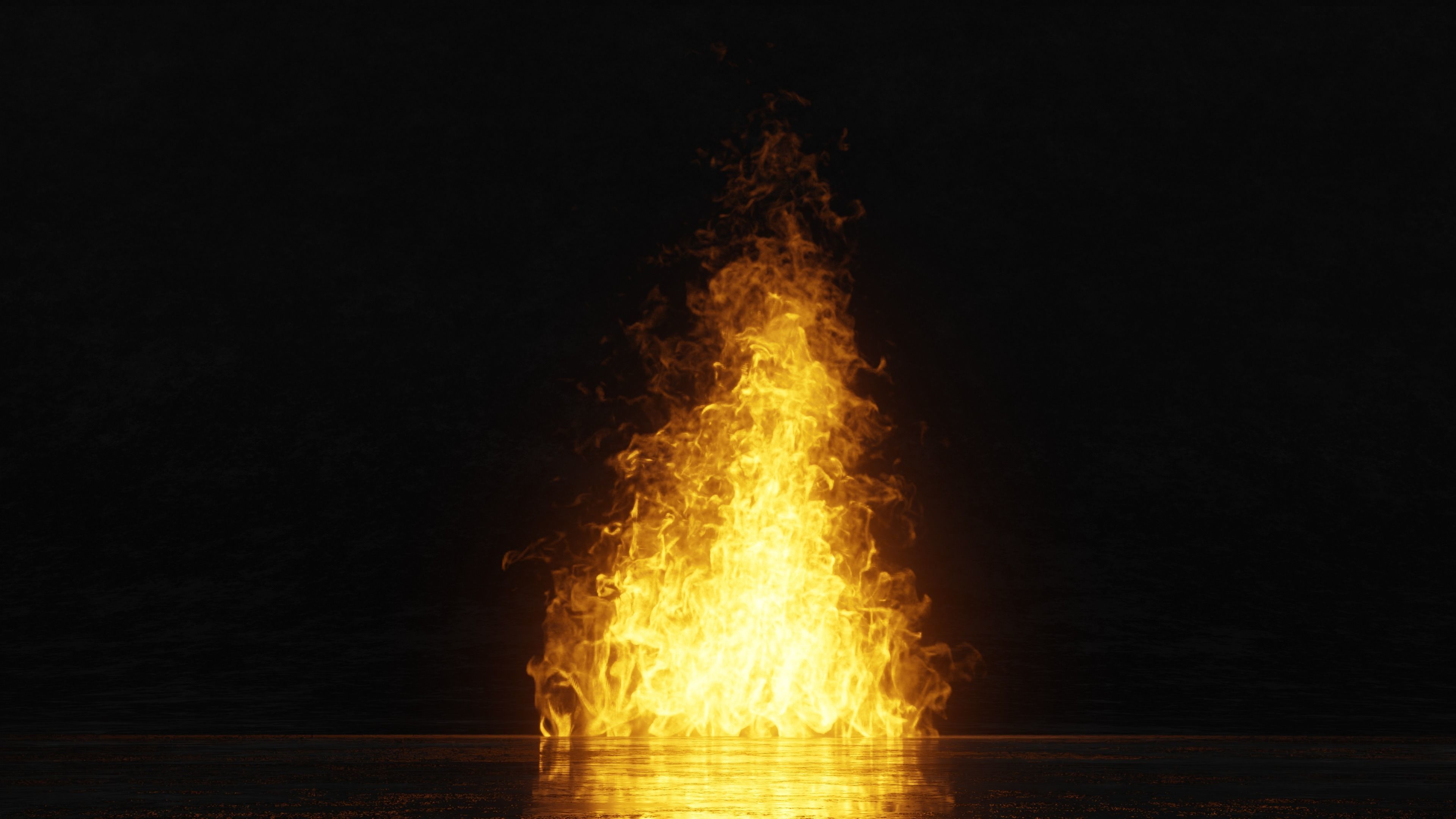 3D Bonefire fire 3D model_5