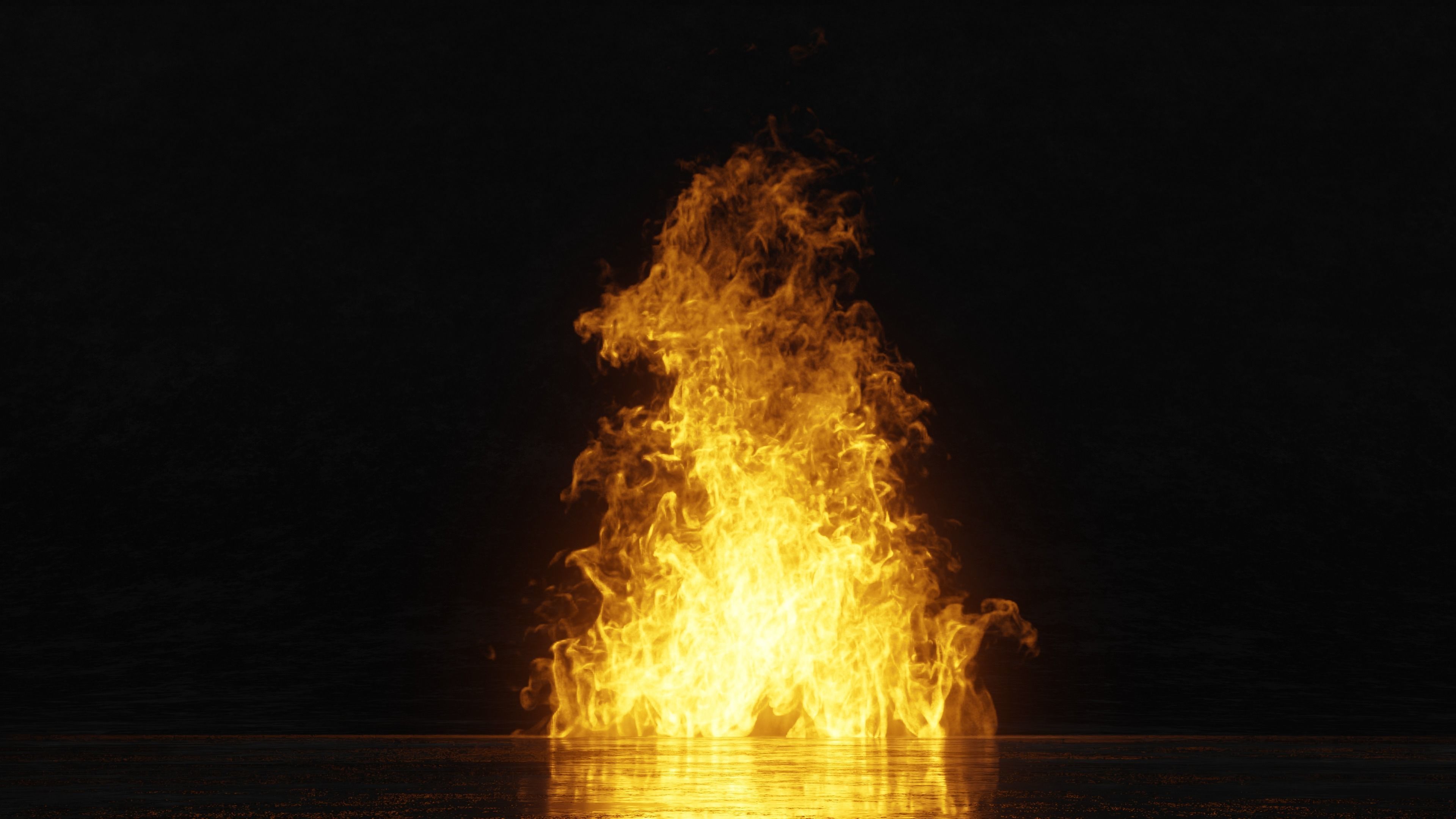 3D Bonefire fire 3D model_6