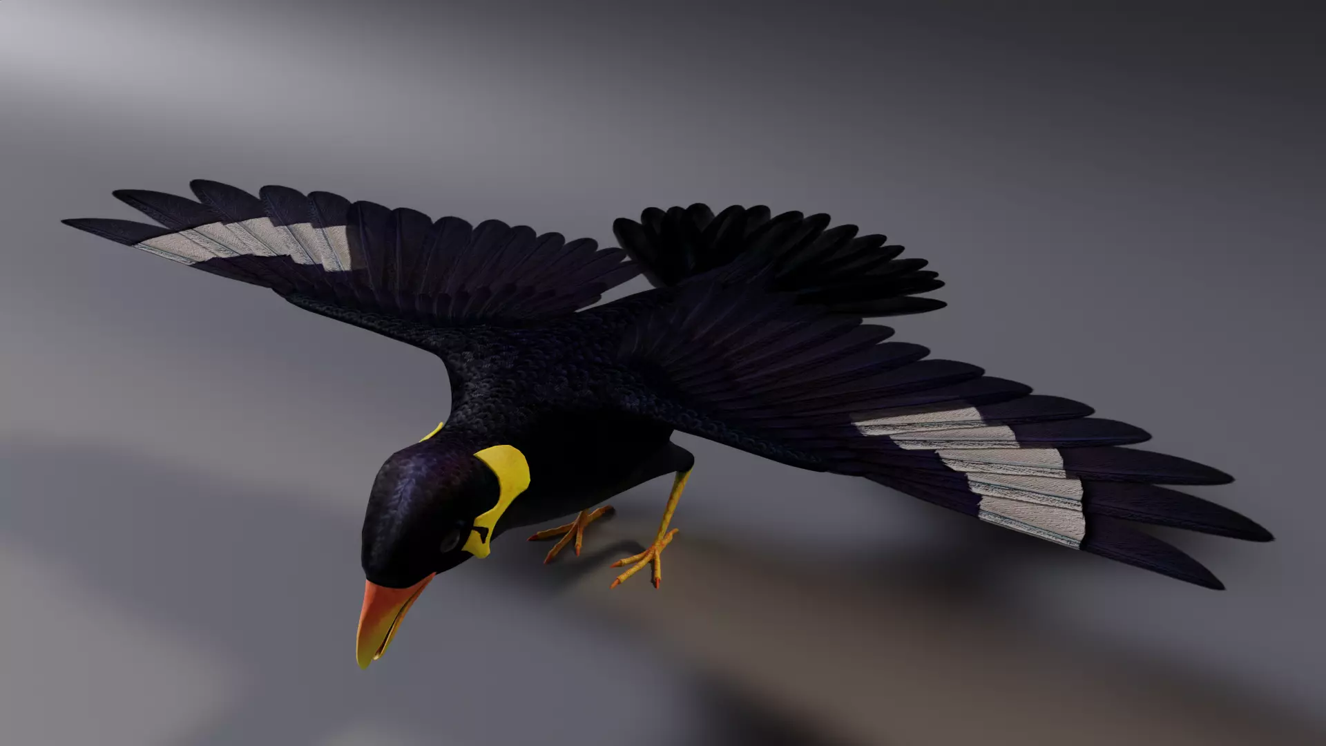 Black Bird Low-poly 3D model