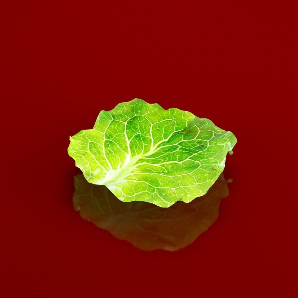 Animated Double Cheeseburger Hamburger 3D model_8