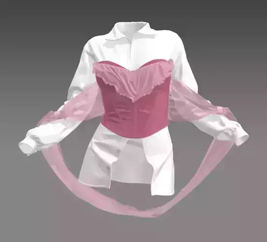 Cute Shirt and Corset 