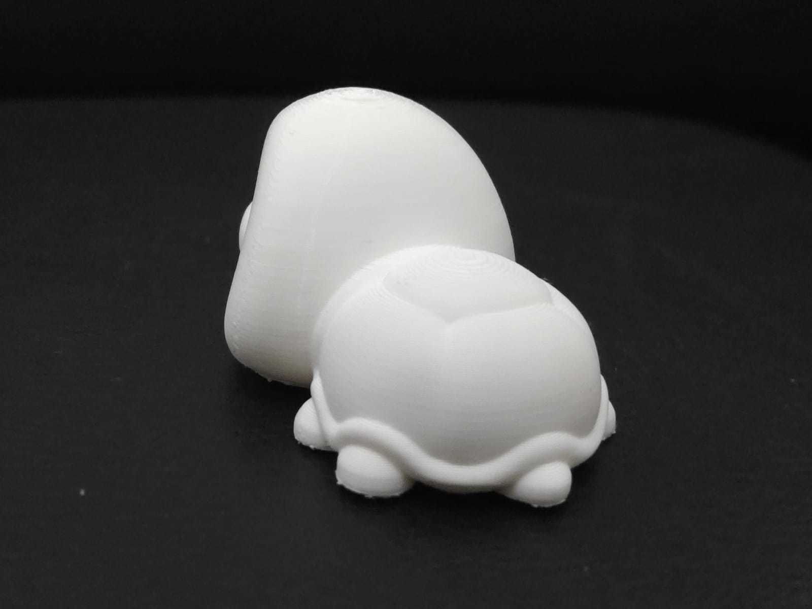 Turtle Big Eyes 3D print model_9