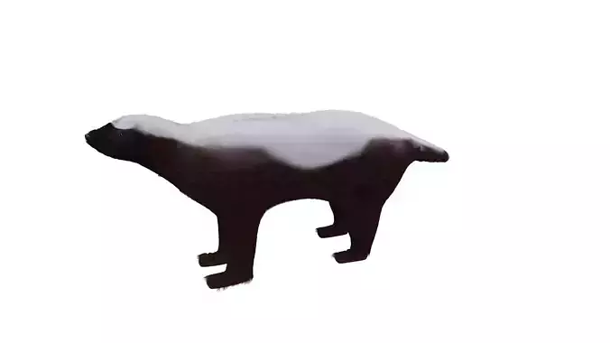 HoneyBadger dog in snow Low-poly 3D model
