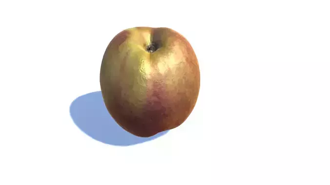 Nectarine photogrammetry scan