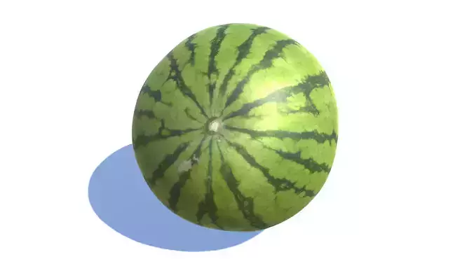 Watermelon photogrammetry scan