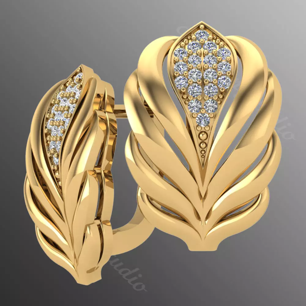 Earrings kt6 3D print model_0